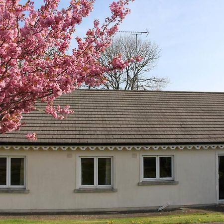 Sunny Bungalow Кортаун Екстериор снимка