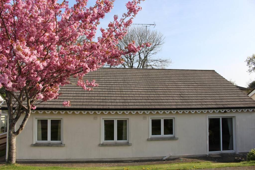 Sunny Bungalow Кортаун Екстериор снимка